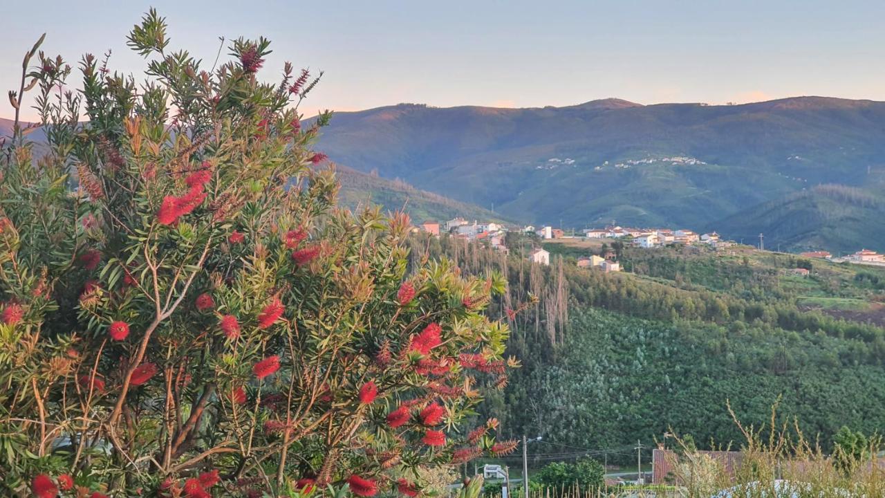 Coja Mountain Perch Βίλα Vinho  Εξωτερικό φωτογραφία